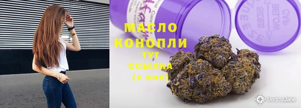 гидра Володарск