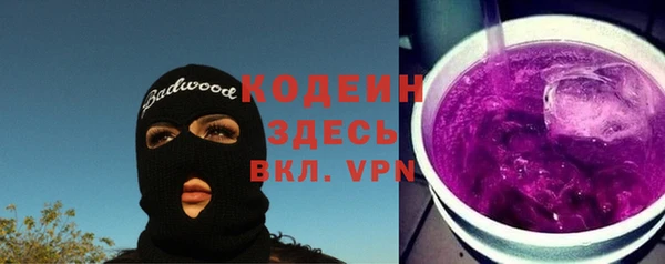 гидра Володарск