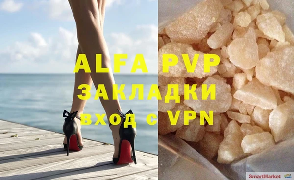 гидра Володарск