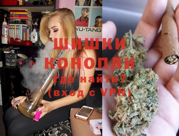 гидра Володарск