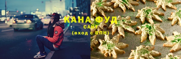 гидра Володарск