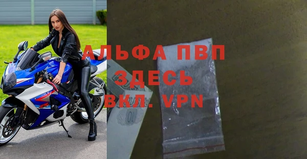 гидра Володарск
