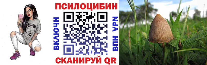 Купить закладки  Брюховецкая  Псилоцибиновые грибы ЛСД 